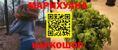 Альфа ПВП Камышлов