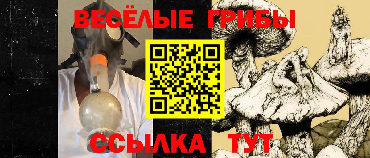 Галлюциногенные грибы прущие грибы Кызыл