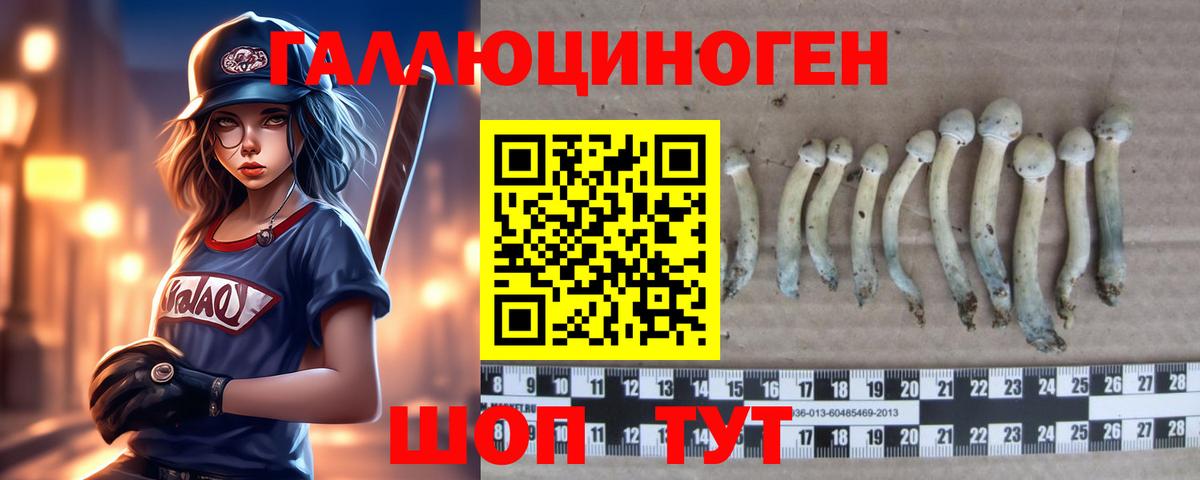 где найти наркотики  Галлюциногенные грибы GOLDEN TEACHER  Галлюциногенные грибы Cubensis  Вход с VPN  Кызыл 